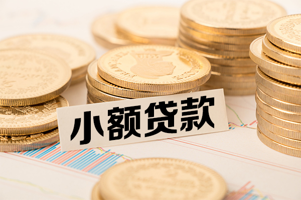 东莞做生意小额贷款当天放款-东莞做生意哪里可以信用贷款-东莞做生意民间借贷